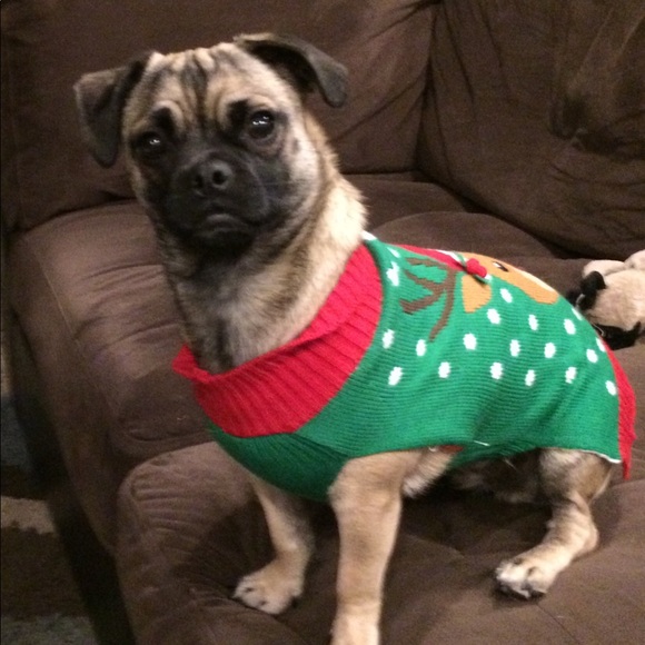 Meet your Posher, Connie - Picture 1 of 1